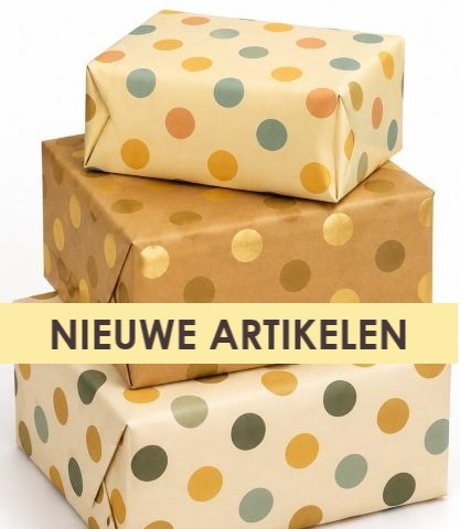 Nieuw Binnen