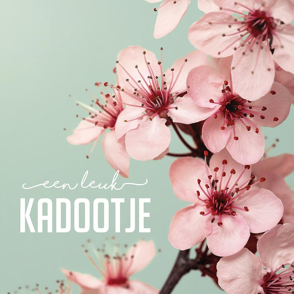 Kadobon Pink Flowers