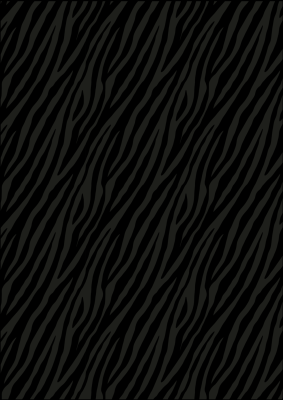 Luxe Kadopapier Zebra Black 50cm