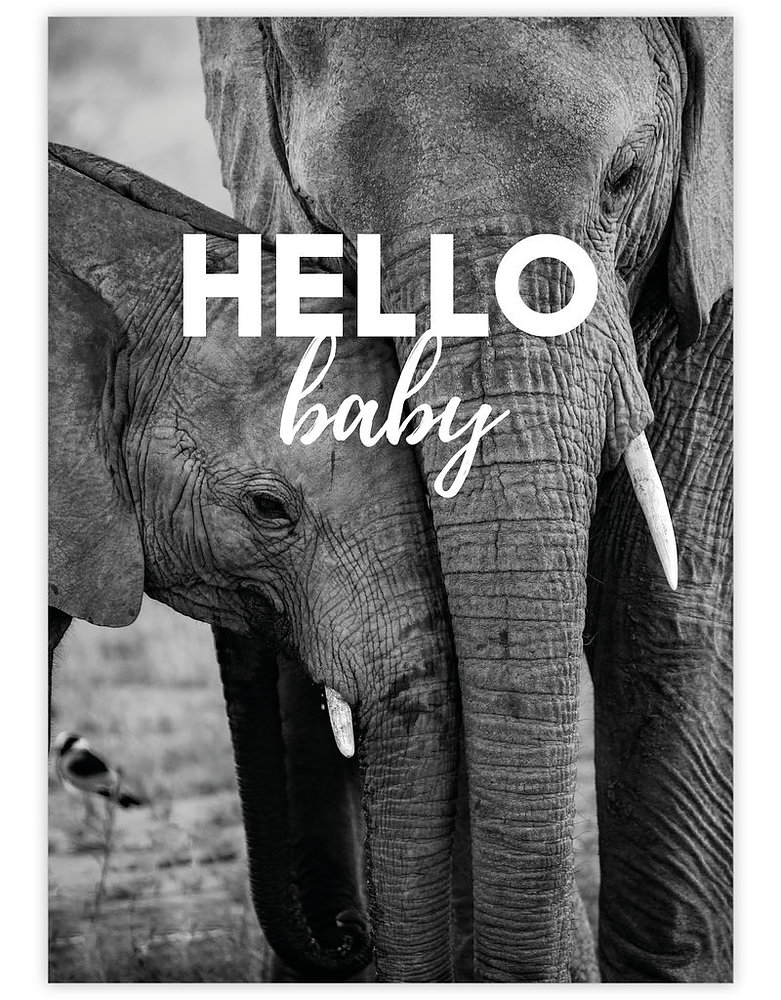 Postkaarten Hello Baby