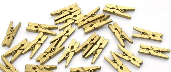 Wasknijper Mini Goud
